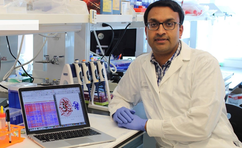 Researcher in a laboratory reviewing scientific data on a laptop